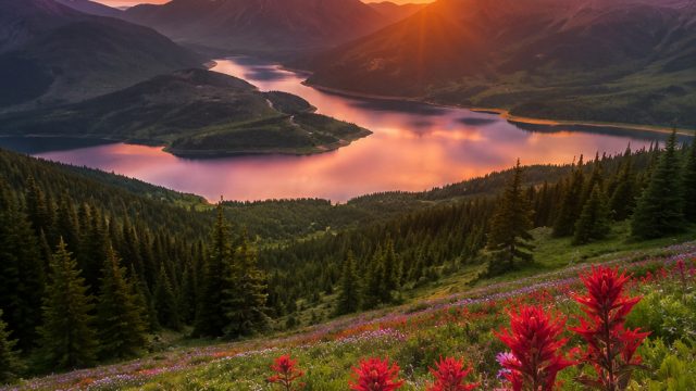 Captivating Landscapes: Elevate Your Device's Aesthetics | twin303 live22, casino app android, ini18