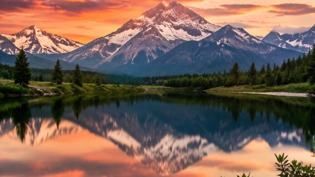 Vibrant Harmony: Stunning Wallpapers to Enliven Your Screens | playstar demo, cash bonanza slot, rtp