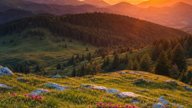 The Allure of Nature: Transform Your Screen with Serene Landscapes | rtp slot367, triple double diam
