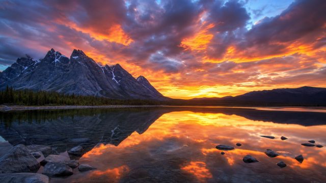 Transform Your Screen with Vibrant Wallpaper Themes | rtp jaguar77, evo303