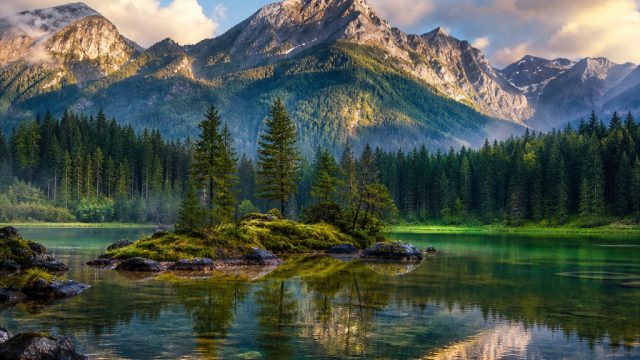 Transform Your Space with Elegant Nature Wallpapers | situs slot138, saham bola hari ini