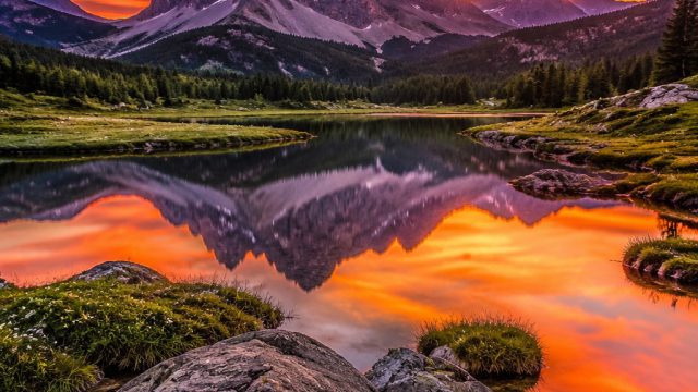 Captivating Moments: A Visual Journey Through Nature's Artistry | data eropa togel, live chat normal