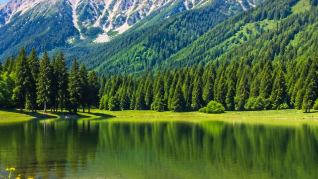 Captivating Summer Landscapes: Arxan National Forest Park | ninok leksono agama, snack video apk dow