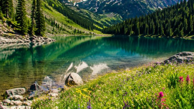 Breathtaking Summer Landscapes: Nature's Vibrant Palette | vegasgg link alternatif, 100 free spins