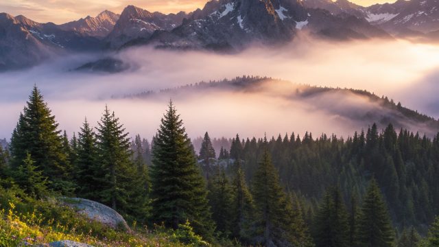 Nature's Serenity: Captivating Wallpaper Gallery for Every Device | indonesia countryhumans, kilat77