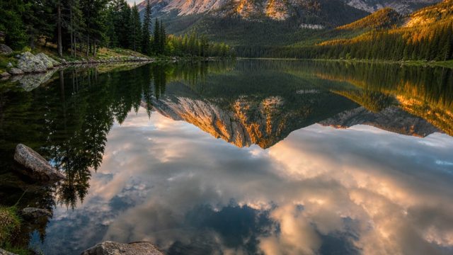 Captivating Visuals: Transform Your Screen with Stunning Wallpapers | claim bonus yuyu 4d, naga asia