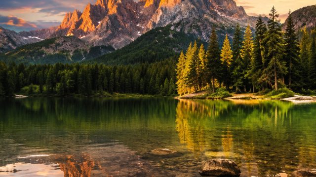 Exploring the Tranquil Beauty of Nature-Inspired Wallpapers | data togel sidney hari ini, paypal slo