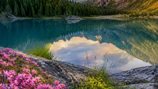 Captivating Nature: Embrace Vibrant Landscapes for Your Screens | lagunabet apk, best188 rtp, rtp da