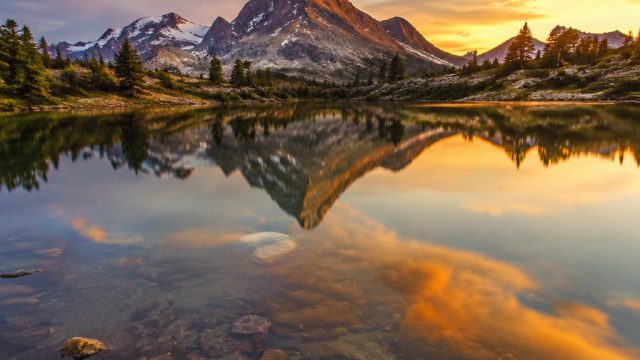 Top 10 Photography Trends to Inspire Your Wallpaper Design Choices | mesin slot link alternatif, faf