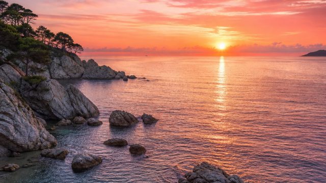 Transform Your Home: The Best Photography Wallpapers for Every Room | super fun 99 slot, jayatogel h