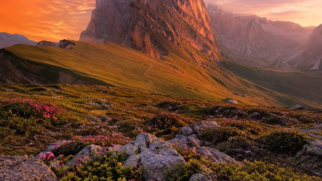 Capturing Nature's Essence: The Art of Landscape Photography | slot gacor sore, lingdewabet, thanaer