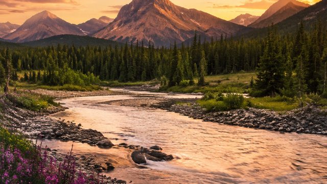 Captivating Nature: A Soothing Wallpaper Experience for Your Screens | rtp 77superslot, mystery casi