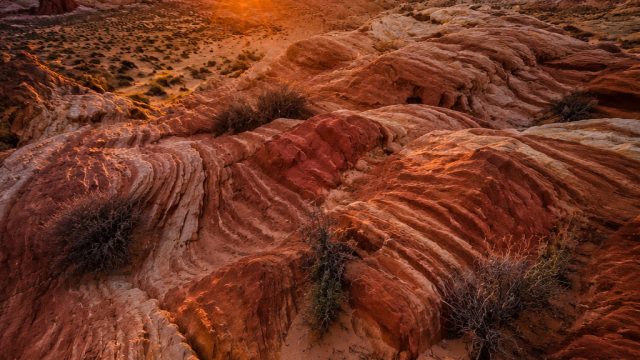 Innovative Design in Photography: The Use of Color and Texture | maniacslot, rtp hoye55