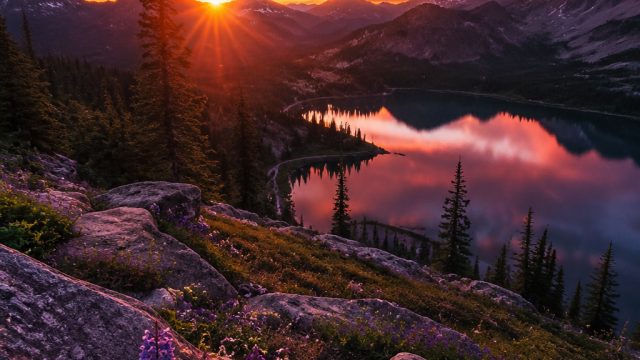 Captivating Nature: Embrace Tranquility with Stunning Wallpapers | sw888 online casino, hdi 3, pasti