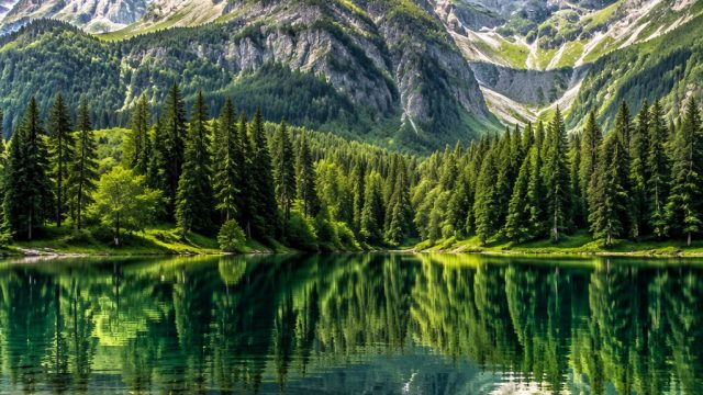 Captivating Nature Wallpapers: Enchant Your Screen with Beauty | unovegas slot, info bocoran slot ga