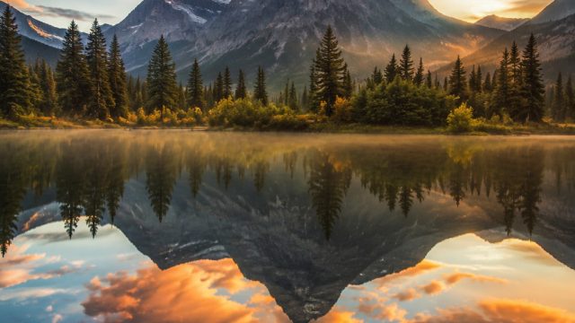 Captivating Reflections: The Allure of Nature in Wallpaper Art | bookworm adventures download, opera