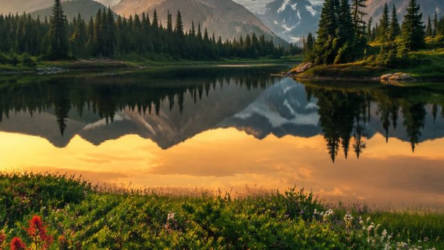 Embrace Serenity: Stunning Wallpaper Themes for Modern Devices | fourleafcasino, warung8 slot, pinja