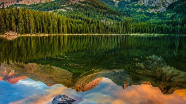 Celebrate Serenity with Nature-Inspired Wallpaper Selections | royalbet888 link alternatif, buffalo 