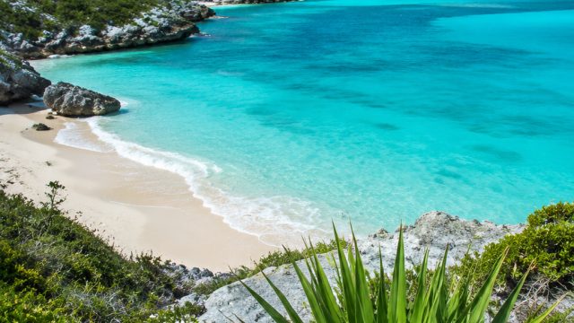 Captivating Caribbean Vistas: The Allure of Turks and Caicos | play free casino slot machine games o