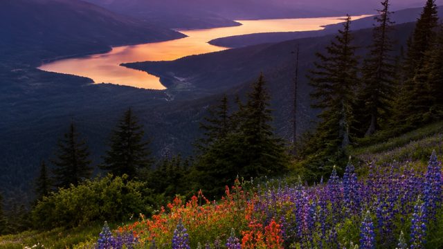 Embrace the Serenity of Nature with Captivating Wallpapers | pokerup, istanaslot365 login