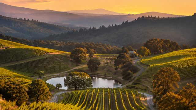 Breathtaking California Wine Country: A Visual Feast for Your Screens | free spins daily casino, pok