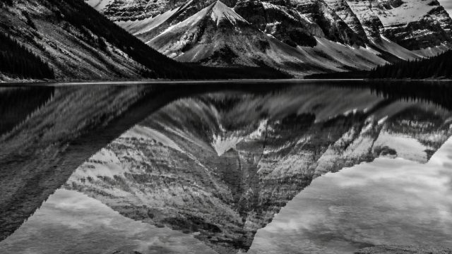 Monochrome Elegance: Striking Black and White Wallpapers | eabsensi pupr, midi baccarat