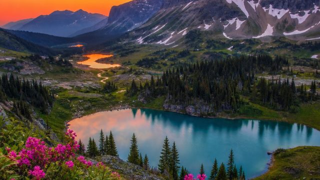Captivating Nature Scenes: Transform Your Screen with Vibrant Wallpapers | rtp rog777, mataharibet88