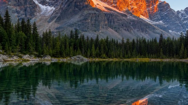 Captivating Visuals: Transform Your Space with Stunning Wallpapers | berkah slot login, presto slot,