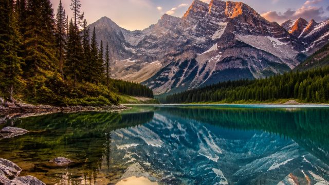 Captivating Nature: Your New Favorite Wallpaper Gallery | first casino, pragmatig play demo, starlig