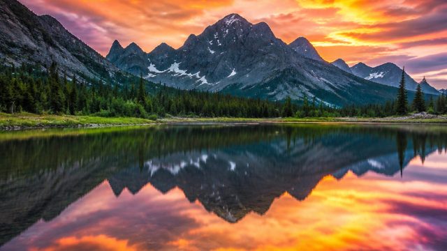 The Role of Color in Photography: Enhancing Visual Impact | online casino sign up bonus, daftar slot