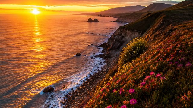 Understanding Digital Prints: A Guide to High-Quality Photography Prints | casino betway, raja slot 