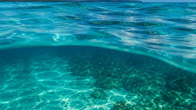Dive into Serenity: Aquatic Wallpapers for Every Screen | demo slot pragmatic 5 lion, winstar88 alte