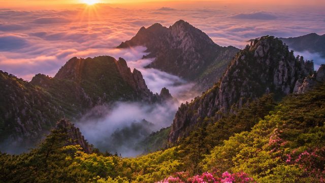 Ethereal Scenery: Serene Wallpaper Inspirations for Every Screen | real money online casino free spi