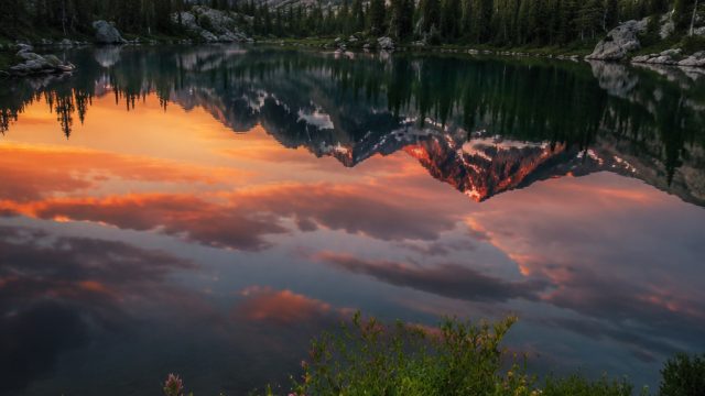 The Beauty of Nature Photography: Capturing Earth’s Wonders | filipina prize togel, hoki88, rajaqq