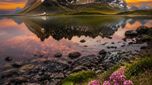 Embrace Elegance: Stylish Wallpapers for Modern Devices | score808 fifa world cup 2022, soccer88 slo