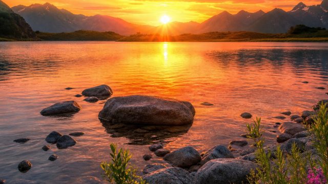 Transform Your Screen with Vibrant Nature Wallpaper Themes | presidenttoto slot, slot rtp live