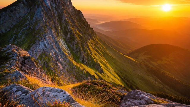 The Art of Composition: How to Captivate Your Audience with Stunning Photos | operatoto group, rajat