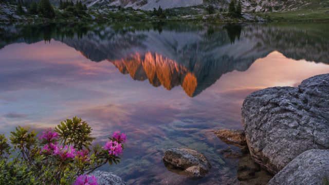 Embrace the Serenity of Nature: Wallpapers for Tranquil Moments | main slot demo olympus, demo slot 