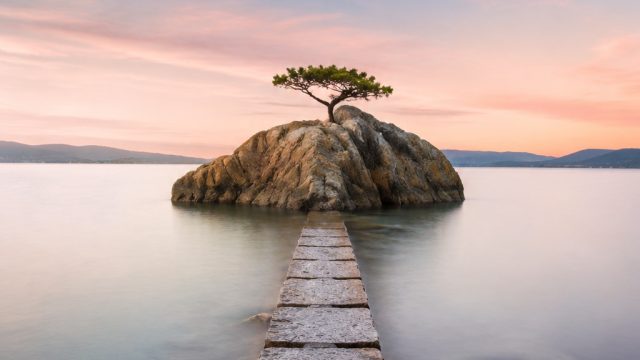 The Art of Minimalism in Photography and Wallpaper | daftar kami slot, slot gacor bonanza hari ini