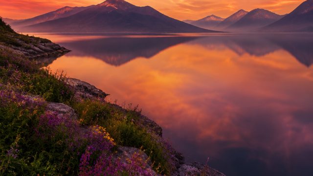 Embrace Tranquility with Colorful Modern Wallpapers | data sgp 88, judi123 slot login