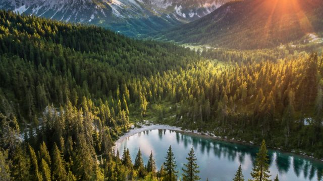 Discover Tranquil Nature Scenes for Your Screen | top sport betting, arena dewa slot
