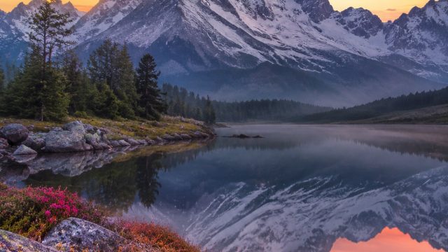 Visual Artistry: Elevate Your Home with Artistic Photography Wallpapers | slot gacor hari ini pg sof