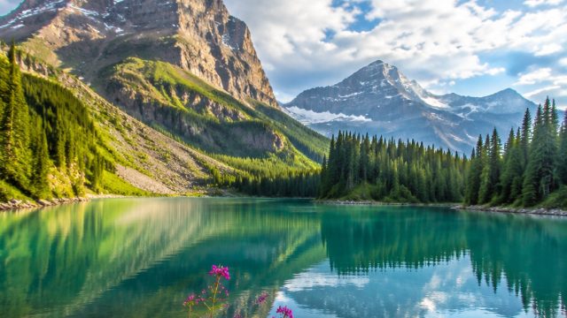 Embrace Tranquility: Serene Nature Wallpapers for Your Device | free download little mix, daia4d, on