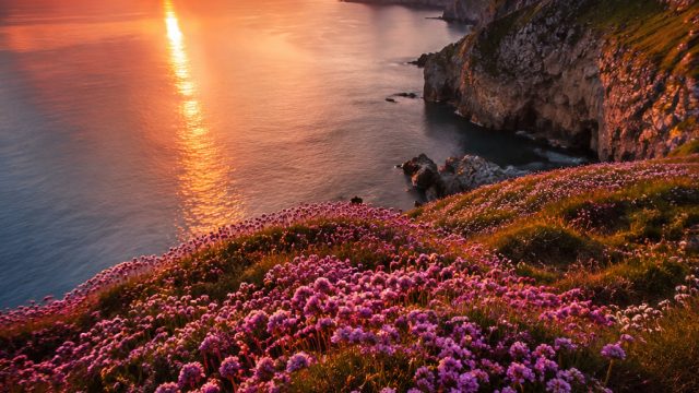 Captivating Sunset Landscapes: Evoking Serenity and Wonder | google solitaire game, gacor slot hari 