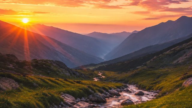 Discover Stunning Wallpapers: Elevate Your Device's Aesthetic | tweety house slot, main poker online