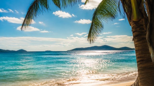 Breathe in the Heat: Stunning Summer Vibes for Your Screen | rtp slot monte77, itupoker online
