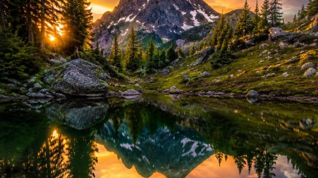 The Digital Art Revolution: How Photography Shapes Modern Visual Design | frekuensi world cup nex pa