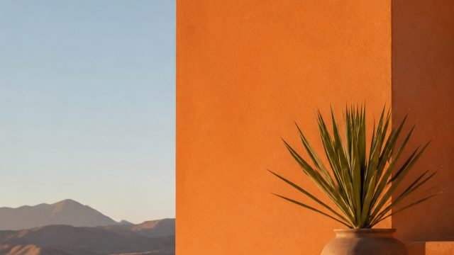 Discover the Allure of Modern Minimalist Wallpapers | link slot gacor, perak slot