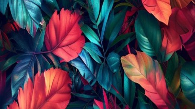 Revitalizing Spaces: Captivating Digital Backgrounds for Every Mood | betway casino no deposit bonus