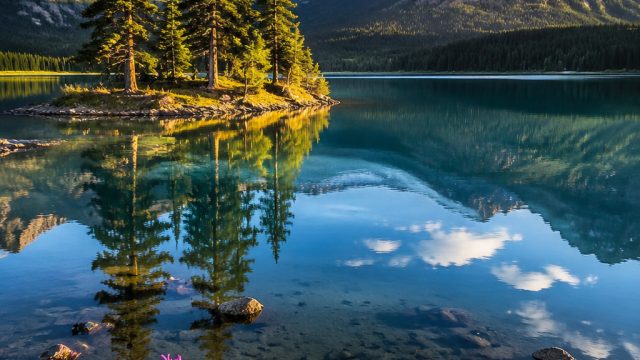 Explore the Allure of Nature with Vibrant Wallpaper Designs | go jackpot slot, apk bitcoin terbaik, 